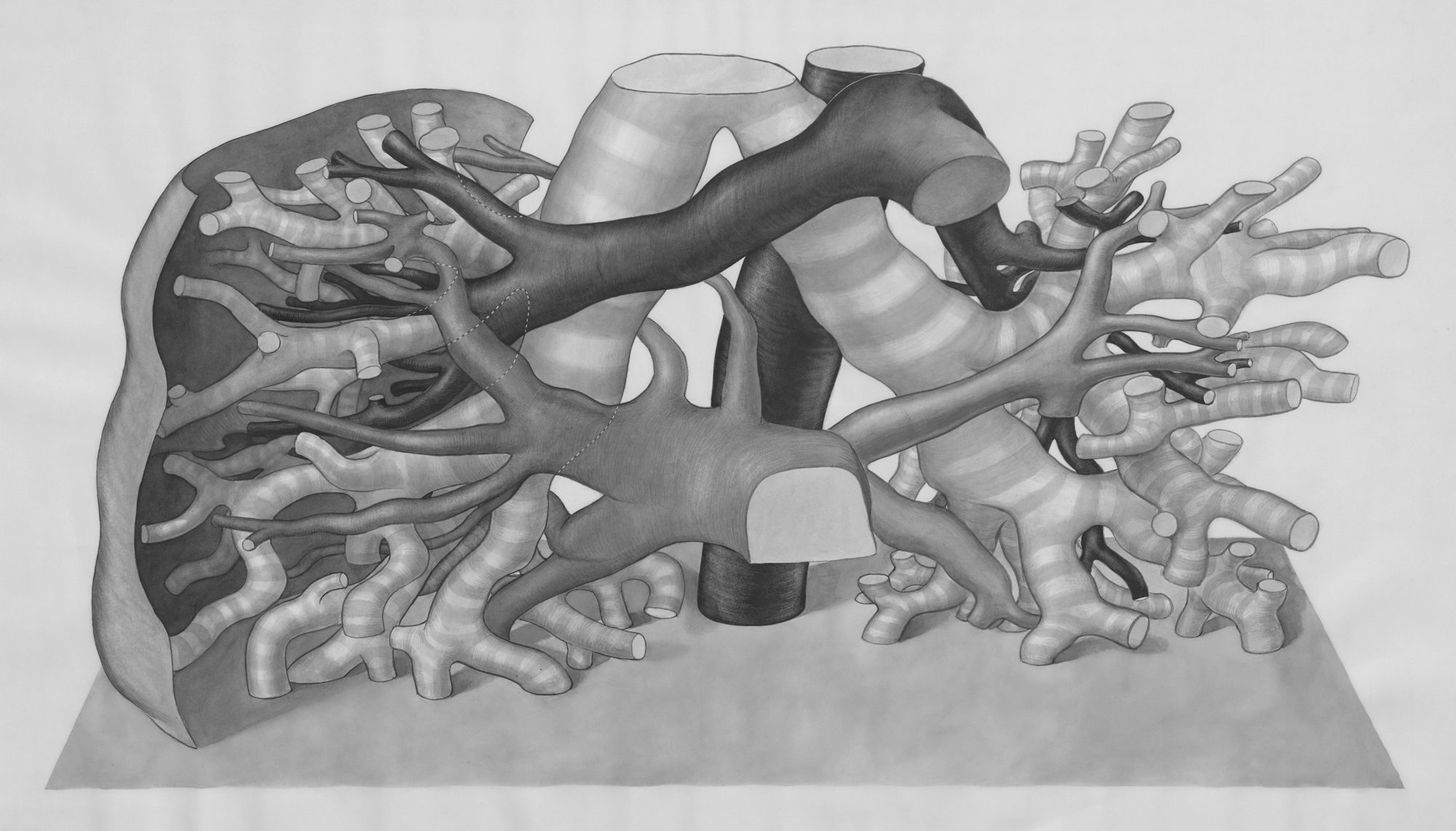 How Medical Professionals Are  diabetic coma Trained: A Journey from Aspiration to Expertise post thumbnail image